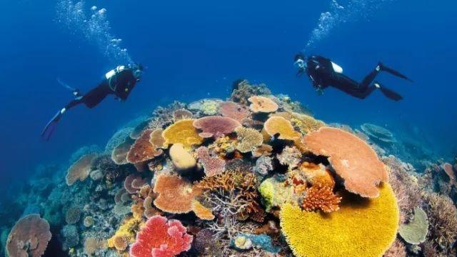 2024春节山东乡村文化旅游节 | 来东营区吧!一起赏民俗 品美食 听吕剧 赶大集 过大年